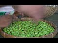 A day of harvesting lots of vegetables, cooking, country life vlog