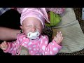 Silicone doll and Reborns I have ( changing)