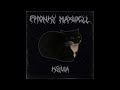 MaxWell cat phonk remix | 1 ЧАС