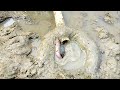 Wow Really Amazing Daily Life Fishing By Fisherman In Water River Catfish #amazing_fishing