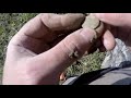 Amazing War Relic Find! Metal Detecting Southern Illinois February 2019