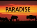 Coldplay Paradise (instrumental mix)