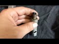 How to CARBURE YOUR MOTORCYCLE adjust air screw / tune carburetor in detail