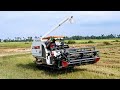 Fastest Rice Harvester Machinery Working Skills, Kubota DC-105X #EP271