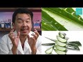 Amazing Aloe Vera Journey: From Harvest to Natural Beauty Products - DIY Gel Recipe Inside