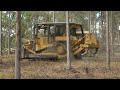 Bulldozers DESTROY An Entire Forest - The Chain Pulling Method!