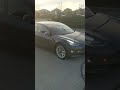 Tesla in the wild
