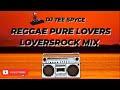 Reggae Pure Lovers Mix | Loversrock Mix | Marcia Griffths, Wayne Wade, Glen Washington,Beres Hammond