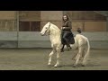 Knight's horse: How did a medieval knight handle his horse in battle? (I demonstrate the basics.)