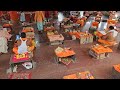 Shri Kshetra Ganagapur Darshan | Dattatreya Temple | नृसिंह सरस्वती महाराज | Bhima Amarja Sangam |