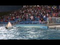 Seaworld promo, school opdracht FCP