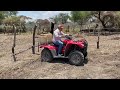 Aplicación de sellador con cuatrimoto en el campo 100 litros por hectárea en cultivo de maíz 🌽