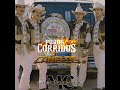 Mix De Puros Corridos De Los Canelos De Durango