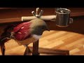 peKPRODUCTS: All Natural Wood Bird Perches: Made from Fig, Oak, & Pine