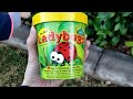 Beneficial Insects Lady Bugs in The Garden