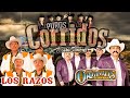 Los Razos, Los Originales de San Juan Y Grupo Exterminador - Puros Corridos y Puras Rancheras