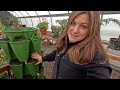 Growing Greens, Herbs & Small Root Crops Inside During Winter! 🥬🪴🥕 // Garden Answer