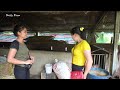 Use Trucks To Buy And Transport Animal Feed To Sell To Villager - Animals Farm | Daily Farm