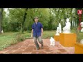 Tai-Chi Walking Series for Beginners through Advanced. Video 1 of 4 ~ Beginners Walking