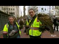 Urban Falconry in Portland | Challenges with winter crow migrations in cities | Oregon Field Guide