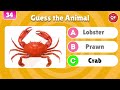 Guess the Animal From Zoomed Image | Animal Guessing Game