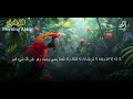 أذكار الصباح - راحة نفسية لا توصف بصوت القارئ علاء عقل | Morning Athkar - Dzkir Pagi by Alaa Aql