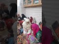 Lajpaal Nabi Mery Derdan Di Dawa Dena ,Naat Shrift,Islamic Video,Naten