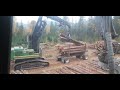 loading the log truck