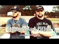 Stubborn As A Pitbull - JesseHoward (Solo)