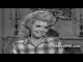 The Beverly Hillbillies | Season 1 Comedy Compilation | Episodes 19-36 | Buddy Ebsen