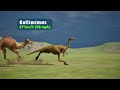 Animals Speed Comparison | Present and Prehistoric