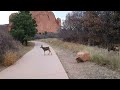 Garden of the Gods