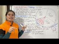 Mitosis in Hindi | Cell Cycle | Cell Division | Phases of Mitosis | Significance of Mitosis