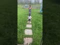 Toddler carefully rushes down the stairs, and around grandma to get to grandpa!