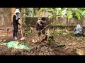 Clean up the abandoned kindergarten with overgrown grass | SATISFIED TRANSFORMATION