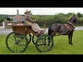 Attelage Horse Weekend 2024 Beamish Museum (Part 5) #beamish #horse #horsemanship #horseshow