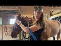 How To Put A Bitless Bridle On A HorsePower Horse (Step 1) - Volunteer Training Video
