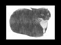 Maxwell the cat remix