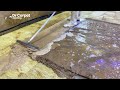 A mesmerizing floral carpet, even when dirty! Enjoy soothing ASMR carpet cleaning- satisfying video