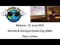 Aniridia & Having A Guide Dog (Q&A)