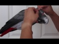 Safely Trim Your Bird's Nails at Home Without Getting Bitten