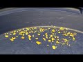 Back on the Gold  |  Southern Oregon Gold Prospecting 2024