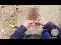 Beach Metal Detecting GOLD and Silver with the Minelab Equinox 800!