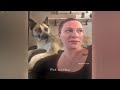 You Laugh You Lose😜Funniest Dogs and Cats 2024😻🐶