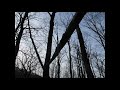 GHOSTS of the SOUTHERN APPALACHIAN MTNS 4 - BIGFOOT/SASQUATCH/SABE Family #2 