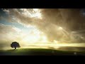 Soothing And Mellow Music For Stress And Anxiety Relief || Relaxing Music For Stress And Anxiety