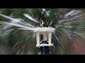 Senninger Wobbler sprinklers