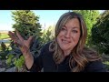 Planting 3 Full Sun & 3 Shade Containers in My Parent’sGarden! 🥰🪴🌸 // Garden Answer