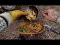 2 Days Solo Bushcraft Wildcamp 🌧 with RAINY MORNING / Baker Tent, Campfire Cooking, Asmr