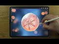 CHRISTMAS BAUBLE Drawing TUTORIAL Realistic and EASY in PROCREATE
